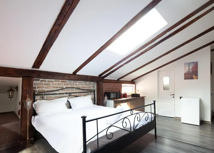 Apartament Little Paris Booutique In Old Town Center *